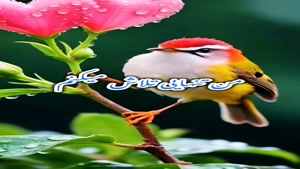 صبح بخیر خدایی و انگیزشی/سلام صبحتون بخیر
