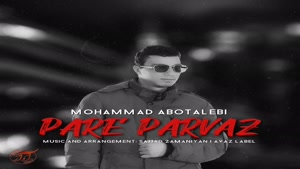 موزیک محمد ابوطالبی پر پرواز |  Mohammad Abotalebi