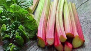 ریواس معجزه کمیاب طبیعت