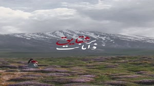 آهنگ خاک سرخ / کلیپ ایران قوی و سرافراز