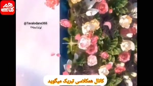کلیپ شاد عید قربان / کلیپ عید قربان برای وضعیت واتساپ