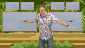 move like the animals and freeze