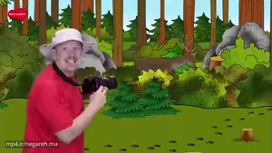 Steve and Maggie _forest animals