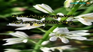کلیپ روز عرفه