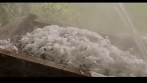 سینمایی ایرانی «پول و پارتی» ساعد سهیلی - نیوشا ضیغمی