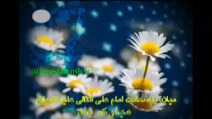 مولودی خوانی ولادت امام هادی / کلیپ ولادت امام علی النقی