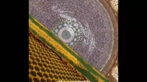کلیپ میلاد امام هادی / استوری ولادت امام هادی