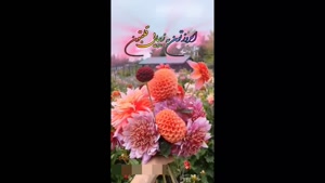 کلیپ صبح بخیر شاد / کلیپ صبح بخیر / صبح زیباتون بخیر