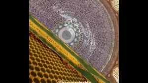 کلیپ ولادت امام علی النقی / تبریک ولادت امام علی النقی