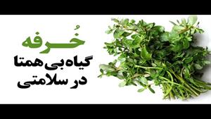 خواص و مضرات خرفه
