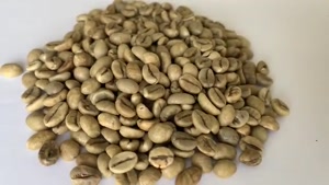 خرید فله وسایل باریستا