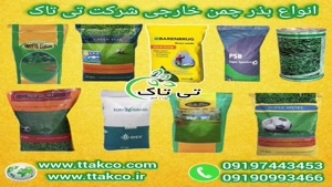 بذر چمن ، بذر شبدر خارجی