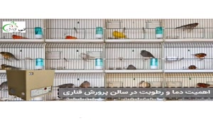 مه ساز پرندگان زینتی ، رطوبت ساز - 09190993466