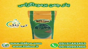 فروش بذر چمن  برموداگراس آفریقایی با قیمت عالی