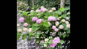 کلیپ صبح بخیر - کلیپ صبح بخیر شاد برای وضعیت واتساپ