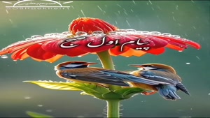 صبح بخیر عاشقانه و زیبا