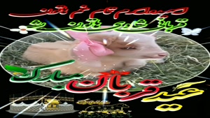 کلیپ عید قربان استوری/کلیپ عید قربان وضعیت واتساپ