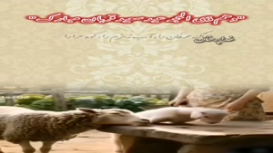 استوری عید قربان /کلیپ عید قربان وضعیت واتساپ
