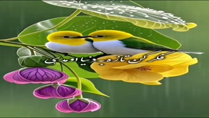 سلام صبحت بخیر شاید فردایی نباشد