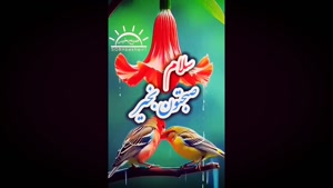 صبح بخیر با دعای خیر / سلام صبحتون بخیر