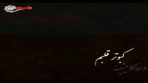 کلیپ کوتاه شهادت امام باقر/کلیپ شهادت امام باقر برای وضعیت