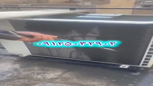 armantahvieh