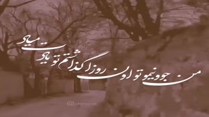 کلیپ عاشقانه غمگین / کلیپ قشنگ