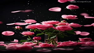 کلیپ برای روز جهانی / کلیپ ویژه روز مادر