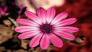 دانلود عاشقانه آهنگ وصله نگات به من