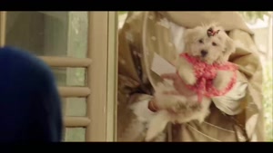 فیلم ایرانی قیف رضا عطاران 