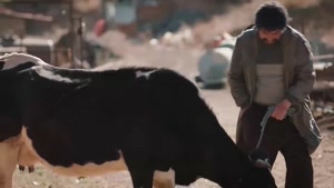 سریال خجالت نکش قسمت نهم / ۹