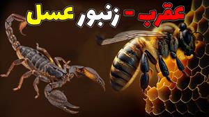 حیات وحش - از زنبورهای هوشمند تا عقرب - ذهن های بزرگ