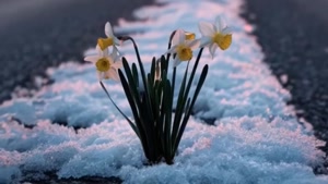 دستور ثروث از آقای نخودکی با صلوات خاصه