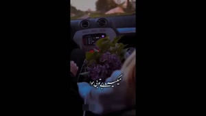 کلیپ عاشقانه برای استوری /  عاشقانه دوستت دارم / استوری