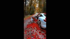 کلیپ عاشقانه دوستت داشتن / کلیپ عاشقانه برای استوری /عاشقانه