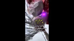 کلیپ تولد پسرم / پسرم آرامش قلبم تولدت مبارک / تولد