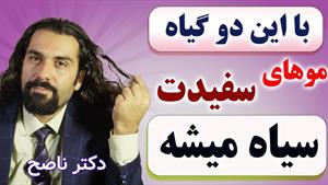 درمان موی سفید فقط با دو گیاه