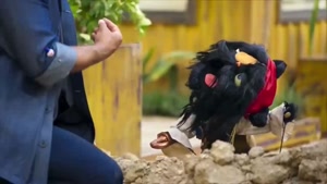 مسابقه و نتایج کارناوال قسمت 3 (وحید آقاپور - محسن شریفیان)