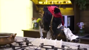 🎭 کارناوال - قسمت ۳ (سریال جدید)