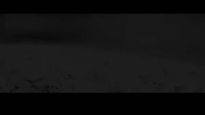 دانلود وحشی قسمت ۵ / سریال وحشی ایرانی قسمت پنجم