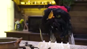 تماشا برنامه کارناوال قسمت سوم کامل – نتایج مرحله سوم