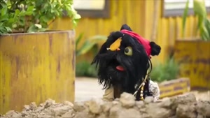 تماشای قسمت سوم برنامه کارناوال / نتایج مسابقه با وحید آقاپو