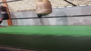 مبارز چینگ دا گونگ فو 