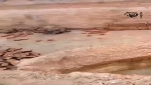 حمله پلنگ وحشی به مرد بیچاره