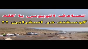 تصادف اتوبوس با گله گوسفند