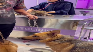 ژرمن پدر خانواده ش رو آورده دکتر