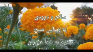 کلیپ شاد و زیبای سلام صبح بخیر