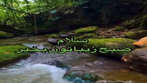 کلیپ صبح بخیر / روزتون پر از آرامش و انرژی