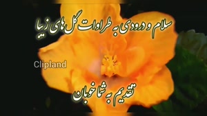کلیپ استوری صبح بخیر / امروزت پر از اتفاق‌های قشنگ