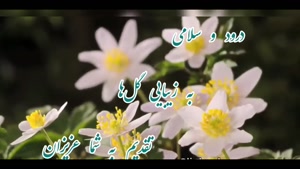 کلیپ سلام صبح بخیر زیبا و جذاب